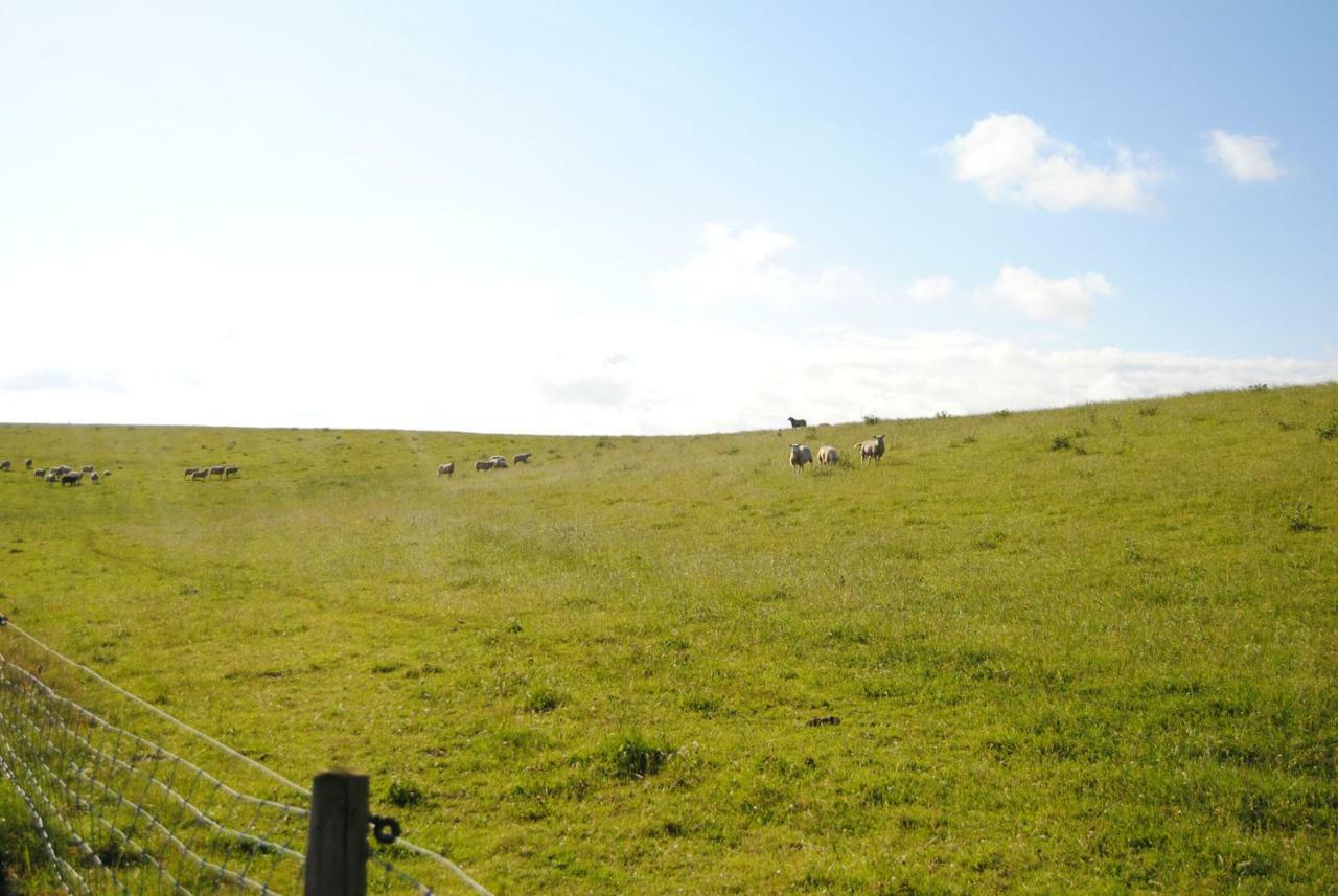 Annemaries Nordseehaus ブットヤーディンゲン エクステリア 写真
