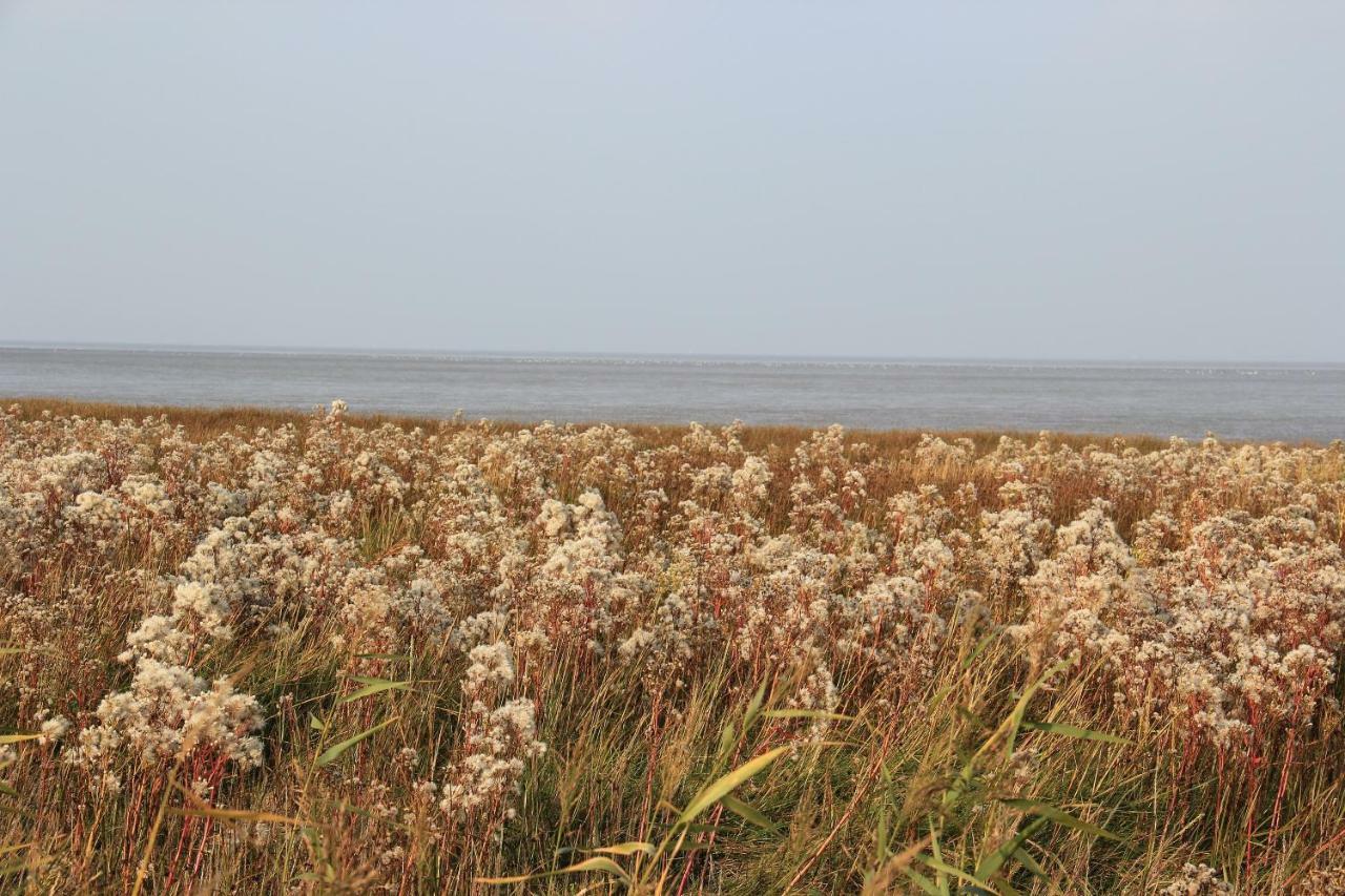 Annemaries Nordseehaus ブットヤーディンゲン エクステリア 写真